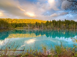 Walau Pohon-pohon Ikoniknya Telah Ditebang, Desa Ini Tetap Diserbu Turis