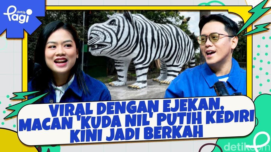 Video: Viral dengan Ejekan, Macan Kuda Nil Putih Kediri Kini Jadi Berkah