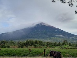 Pendakian Gunung Kerinci Ditutup Sementara karena Aktivitas Vulkanik Meningkat