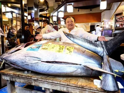 Penampakan Tuna Seharga Rp 53 Miliar