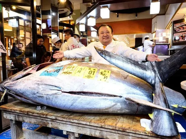 Penampakan Tuna Seharga Rp 53 Miliar
