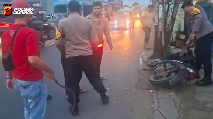 PHL Polres Bogor Jatuh Ditendang Sebelum 2 Begal Tabrak Tiang