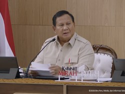 Prabowo Ingin RI Swasembada Protein, Mau Genjot Produksi Ikan-Telur Ayam