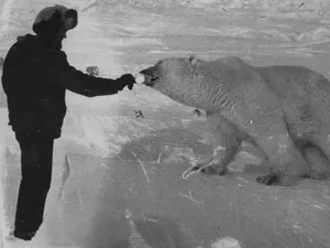 Gila atau Berani? Foto Tentara Soviet Suapi Beruang Kutub Pakai Tangan