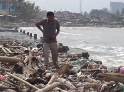 Tepi Pantai Teluk Pandeglang Dipenuhi Sampah Kayu, Diduga dari Luar Banten
