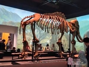 Menjelajah Museum Nasional dengan Suasana yang Berbeda