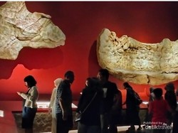 Cara ke Museum Nasional Menggunakan Transportasi Umum