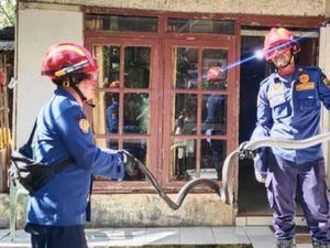 Ngeri! Nasikin Lolos dari King Kobra yang Mengintai di Bawah Kasur