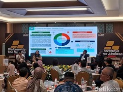 RI Kekurangan Akuntan Publik, Aceh-Papua Cuma Hitungan Jari
