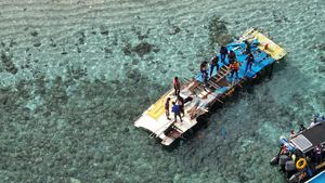 Penampakan Bangkai Kapal yang Renggut Nyawa Pelatih Valencia-3 Anaknya