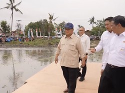 Prabowo Hadiri Panen Raya dan Pengumuman Swasembada Pangan di Karawang