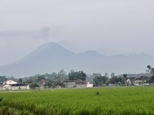 Status Siaga, Semeru 3 Kali Erupsi Pagi Ini