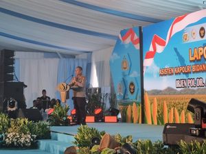 Polri Proyeksikan Panen Raya Kuartal IV 2025 Hasilkan 743 Ribu Ton Jagung