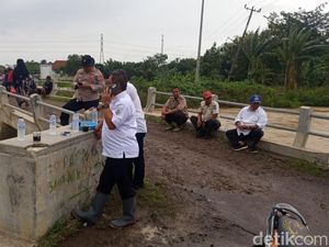Sungai Cileuncat Meluap, 2 Hektare Sawah di Kroya Terendam Banjir