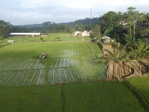 Desa Wisata Semen Blitar, Wisata Alam dan Budaya di Lereng Gunung