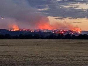 Dunia Hari Ini: Australia Bersiap Hadapi Kebakaran Hutan yang Mengerikan