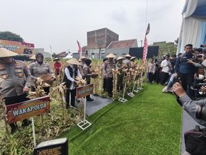 Forkopimda Jatim Gelar Panen Raya Jagung Kuartal IV 2025 di Sidoarjo