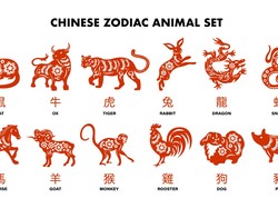 Tahun 2026 Shio Apa yang Paling Beruntung?