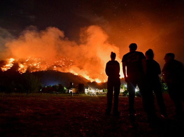 Kebakaran Hutan Hanguskan Ribuan Hektare di Chubut