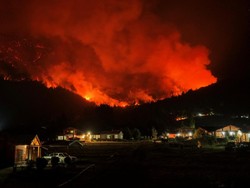 Video: Kebakaran Hutan Terjadi di Chili, 16 Orang Tewas