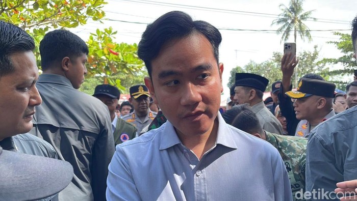 PAN dukung Prabowo lagi, Gibran tetap fokus jabatan