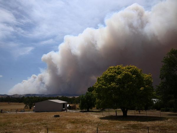 Asap Tebal Selimuti Victoria Akibat Kebakaran Longwood