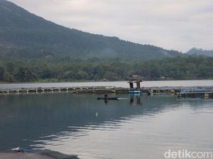 Pemkab Bangli Tunggu Instruksi soal Penertiban Keramba Apung di Danau Batur