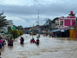 Potret Banjir di Kalbar, Jalan Penghubung Landak-Bengkayang Putus