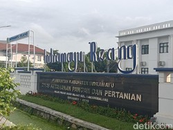 DKPP Tegaskan Indramayu Bebas Perkebunan Kelapa Sawit
