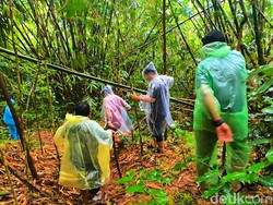 Cerita Warga Tangkap Ikan Pemakan Mayat Tanpa Kepala di Ciracap
