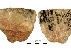 Panah Beracun Tertua Dunia Ditemukan, Berusia 60.000 Tahun