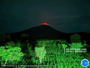 Gunung Ile Lewotolok Meletus 162 Kali Disertai Material Pijar Semalam