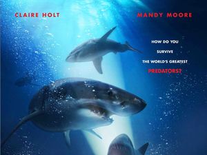 Sinopsis Film 47 Meters Down: Uncaged, Perang Bertahan Hidup di Gua Laut