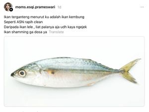 Ada-ada Aja! Netizen Ungkap Ikan yang Ganteng hingga Mirip Ani-ani!