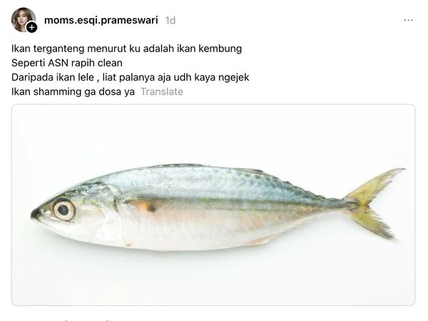 Ada-ada Aja! Netizen Ungkap Ikan yang Ganteng hingga Mirip Ani-ani!