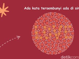 Cuma Si Pemilik Mata Tajam yang Bisa Tebak Angka Ini Tanpa Zoom!