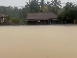 Banjir di OKI Rendam Ribuan Rumah dan Sawah Warga