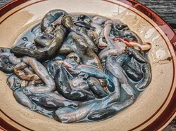 Nggak Cuma Balut, Ini 7 Makanan Ekstrem Filipina yang Bikin Bergidik!