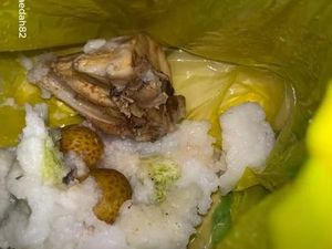 Alasan di Balik MBG Balita Dibungkus Kantong Plastik