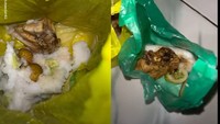 Klarifikasi SPPG soal Viral MBG Balita dan Bumil Ditaruh di Kantong Plastik