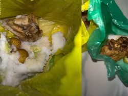 Klarifikasi SPPG soal Viral MBG Balita dan Bumil Ditaruh di Kantong Plastik