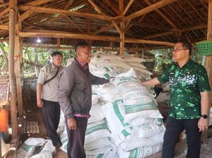Kuningan Larang Sawit, Petani Didorong Beralih ke Kelapa Genjah
