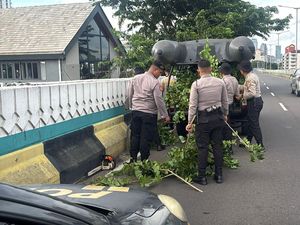 Ranting Pohon Halangi Pengendara di JLNT Antasari, Polda Metro Bantu Rapikan