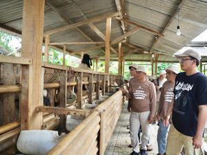 Penerima HPL di Cianjur Mulai Jalankan Peternakan Terintegrasi