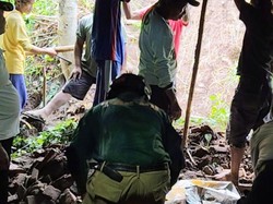 Diguyur Hujan Berjam-jam, Rumah Warga Situbondo Tertimpa Tebing Longsor