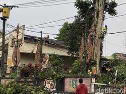 Pohon di Petilasan Eyang Cikundul Timpa Tiang Listrik, 37 Ribu Pelanggan Terdampak