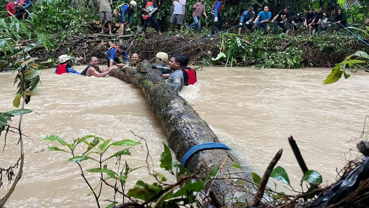 Serang Lawan Banjir: Warga Gotong Royong Singkirkan Pohon Penghambat Sungai