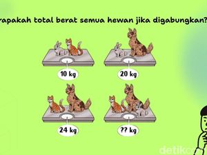 3 Tes Logika Ini Terlihat Sepele tapi Bikin Pusing, Jangan Hitung Pakai Kalkulator Ya!