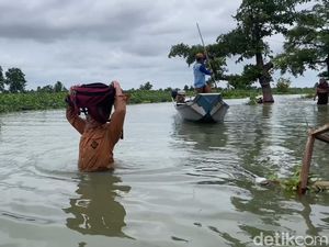 Hampir 2 Bulan Banjir Bengawan Jero Lamongan Belum Surut