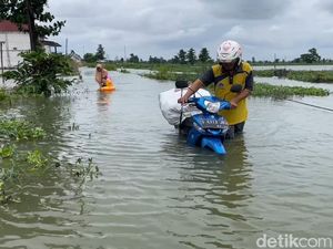 Banjir Bengawan Jero Rendam 5 Kecamatan, Ribuan Rumah-Sawah Terdampak